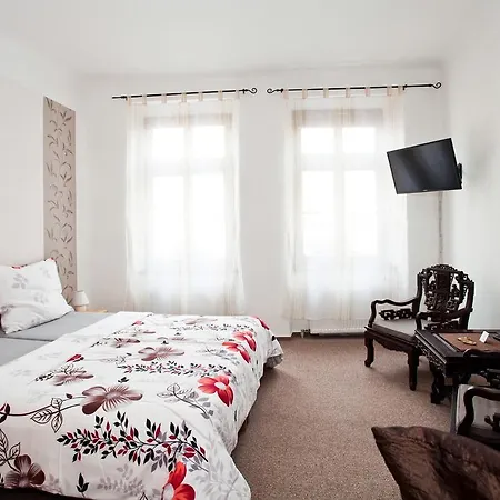 Guest house Bellis 3*