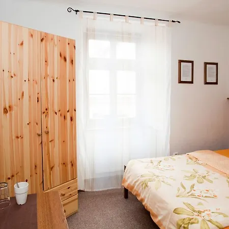 Bellis Olomouc