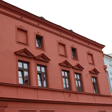 Bellis Olomouc