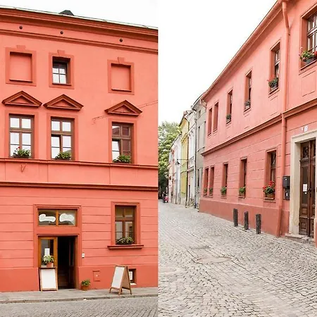 Bellis Olomouc